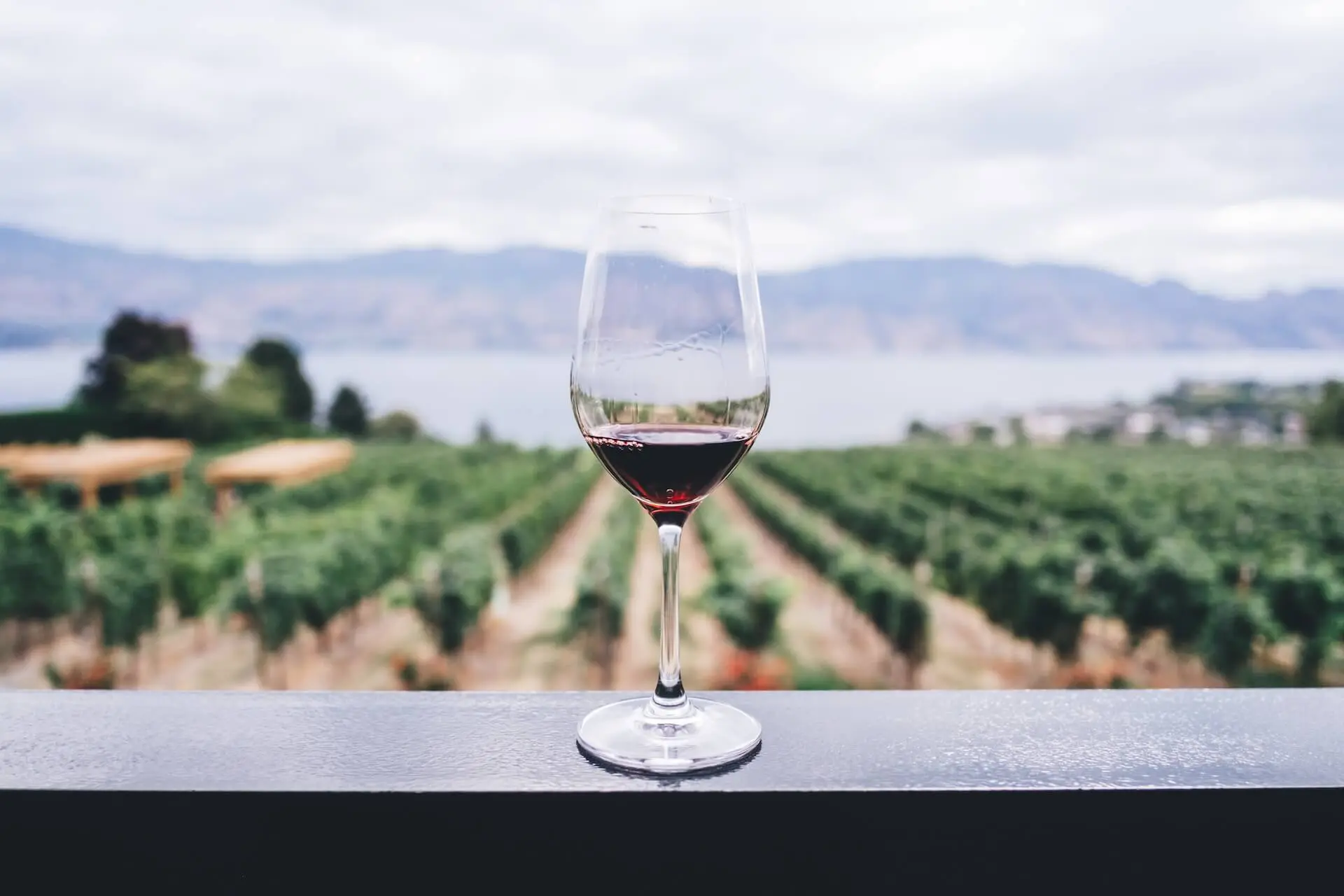 Alcoholvrije Wijnen: Luxe en Smaak Zonder Alcohol