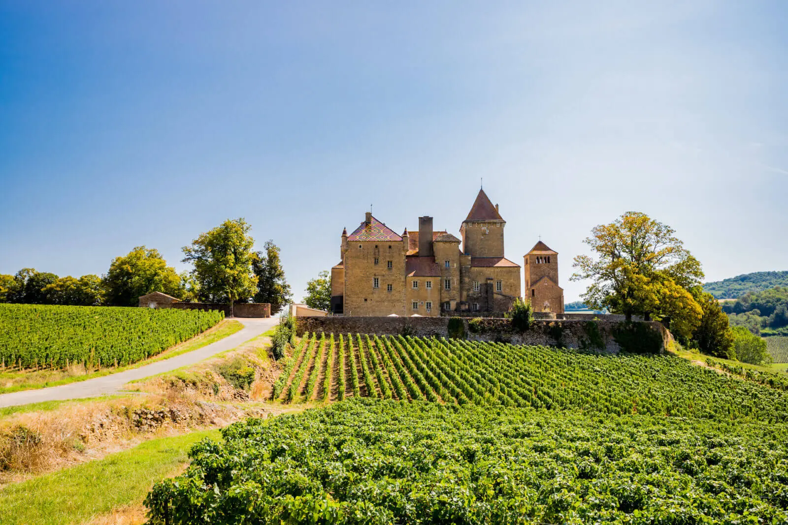 Verkenning van de ‘Grand Crus’ van de Bourgogne