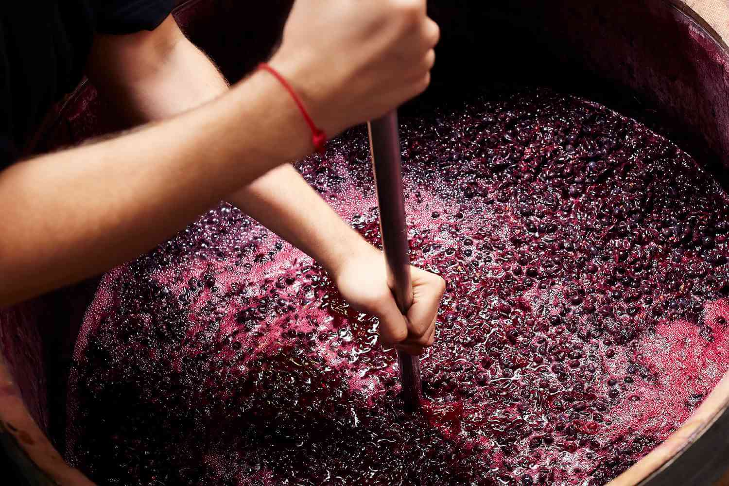 Natuurwijn: Terug naar de Roots van Wijnmaken