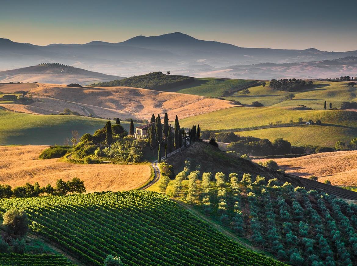 Ontdek de Toscaanse wijnen: Van Chianti tot Brunello di Montalcino